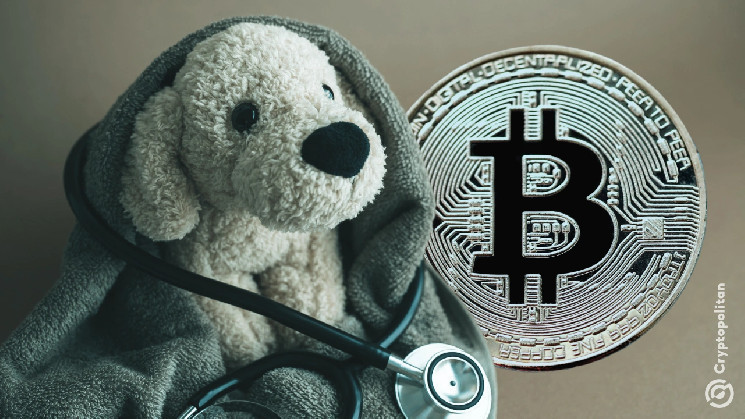El Salvador closes Bitcoin-funded pet hospital