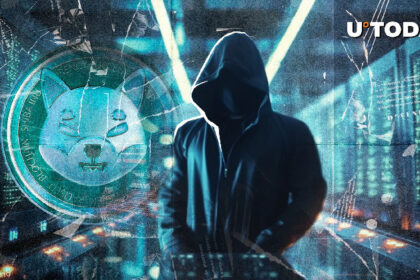 Shib's kusama mysteriously disappears from x - what's going on?