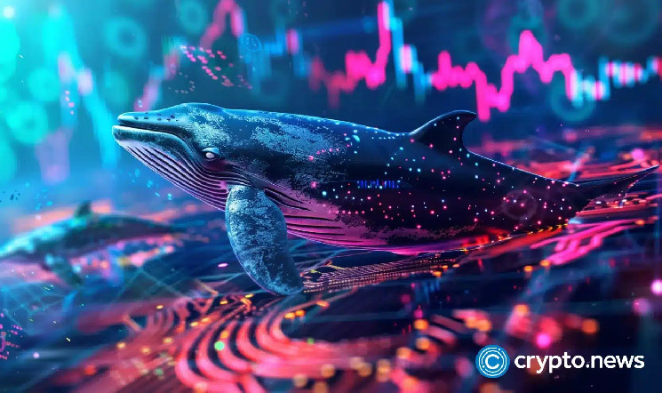 Whale quietly buys Ethereum as prices stagnate