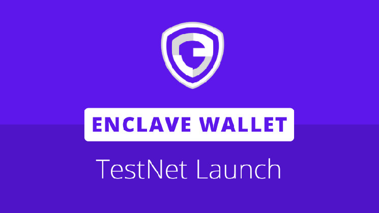 Enclave Web Wallet will be launched on N3, the NEO ecosystem's first account abstract project