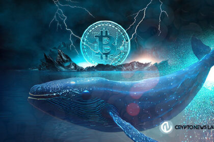 Resilient at $80k as whale cash increases by 219%