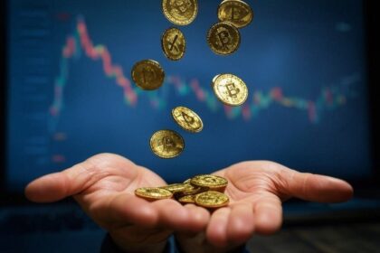 Bitcoin transfers wealth to insensitive investors