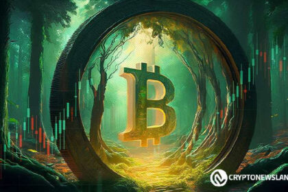 Bitcoin's RSI shows a 30% price rally potential