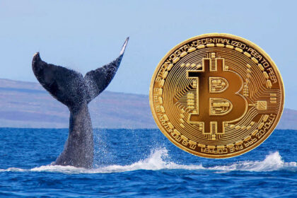 Billionaire Bitcoin (BTC) Whale takes action - withdraws huge amounts of assets from the binance, here's more details