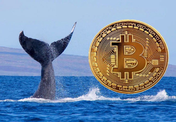 Billionaire Bitcoin (BTC) Whale takes action - withdraws huge amounts of assets from the binance, here's more details
