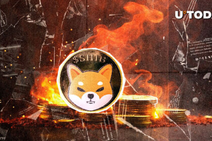 Shib Burn Rate Skyrockets 416%5 Billion Shibu Torch