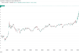 Bitcoin will rise to $90,000 for the first time since early March