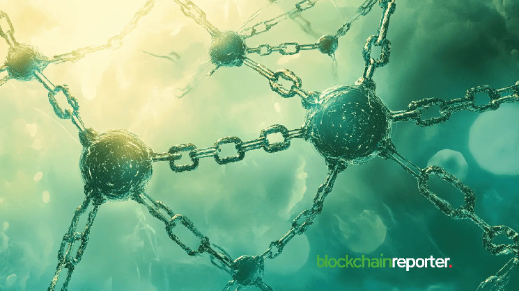 Daostarter schedules the release of Polyverse IDO on April 11th