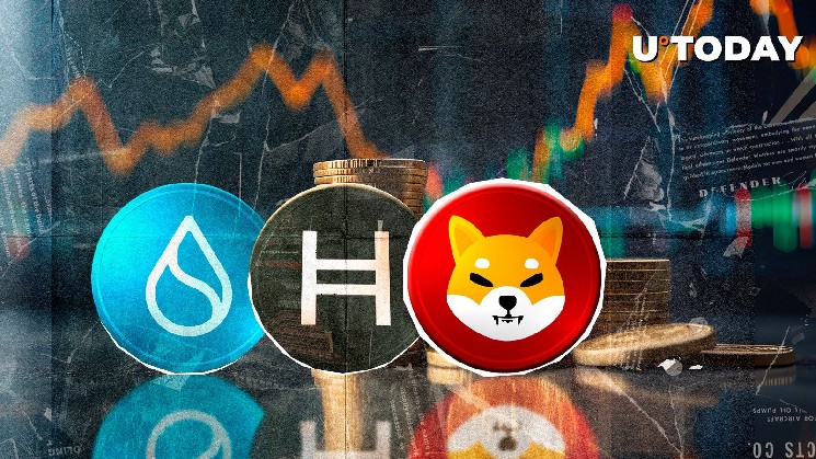 Shiba Inu flips Hedera and Sui in a bullish rebound