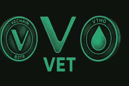 B3TR, VET and VTHO are now available to spend anywhere with the new Stella Pay Visa card