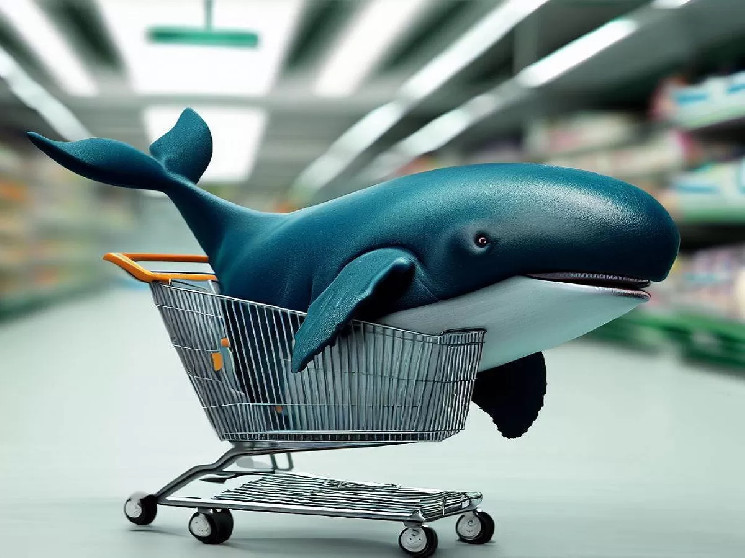 Large cryptocurrency whales are doing these transactions