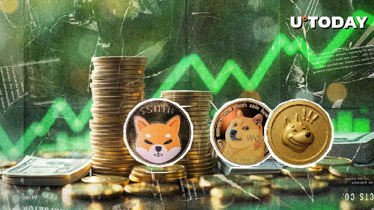 Meme Coin Doge, Green Shiv, Bone in Top Gain