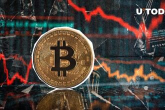Fear dominates as prices drop 2.5%