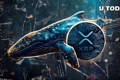 98,292,623 XRP was mysteriously transported as new whales were born