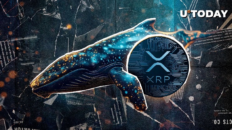 98,292,623 XRP was mysteriously transported as new whales were born