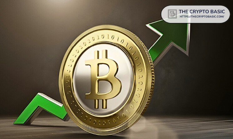 Bitcoin adds 344k+ wallet per day as price retests 104K
