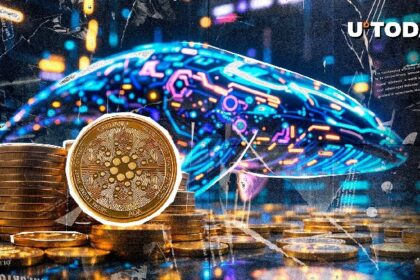Cardano (ADA) whales accumulate $289 million worth of ADA in 20 days