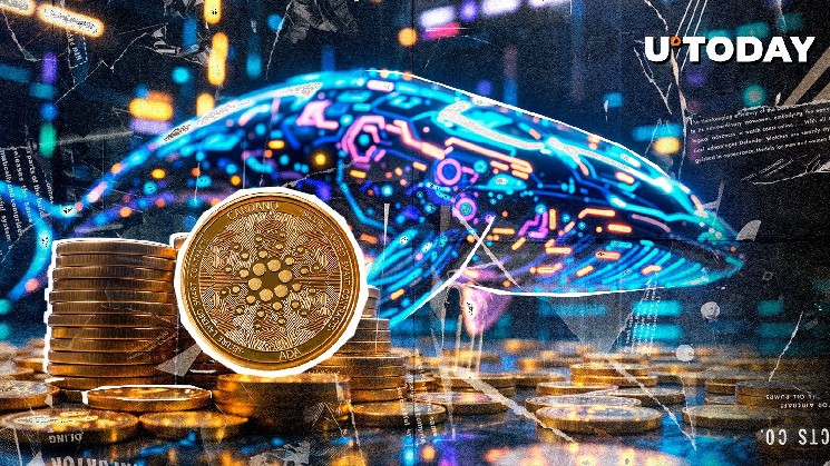 Cardano (ADA) whales accumulate $289 million worth of ADA in 20 days