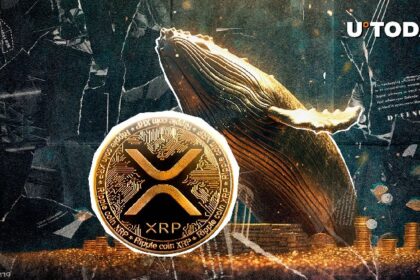 Giant Whale Bets $6 million on XRP