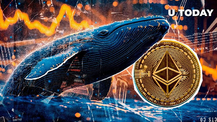 814,661% profits trigger the awakening of the epic Ethereum whales