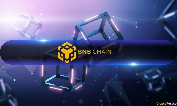 BNB Chaindex Volume Hit 3 Months High: Beat Ethereum, Lag Solana