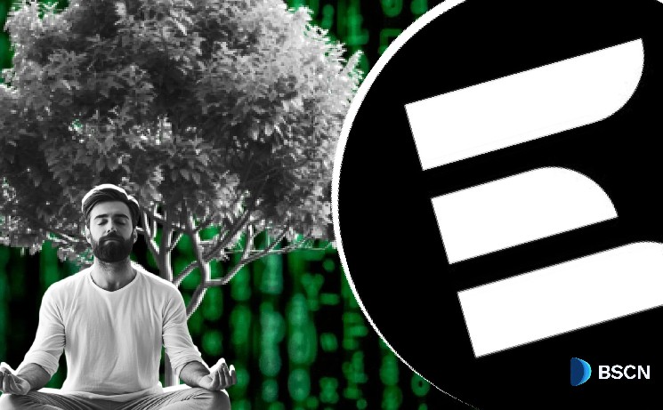 Layeredge's Merkle Tree Commitment: Bitcoin Scalability with ZK Proof