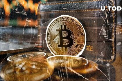 344,620 New Bitcoin Wallet, Mega Fomo, has entered the market