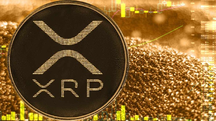 XRP is excellent at growing ETFs, SEC resolution and ripple acquisition
