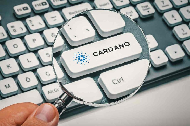 Cardano Blockchain Development will explode in 2025
