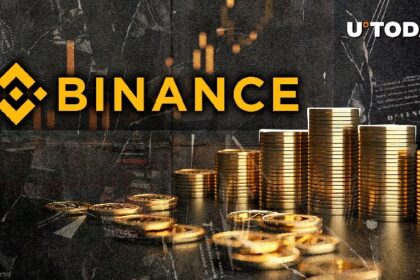 Binance Wallet captures 95% Dex market share