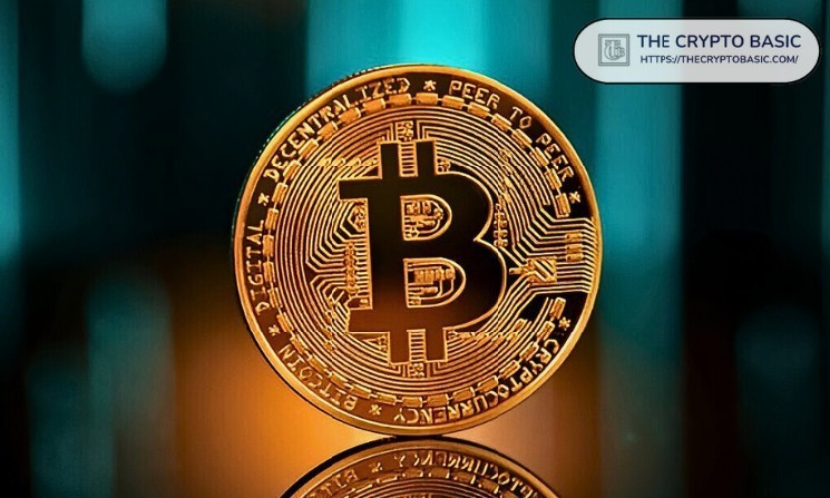 Public companies that plan to allocate $300 billion to Bitcoin by 2029