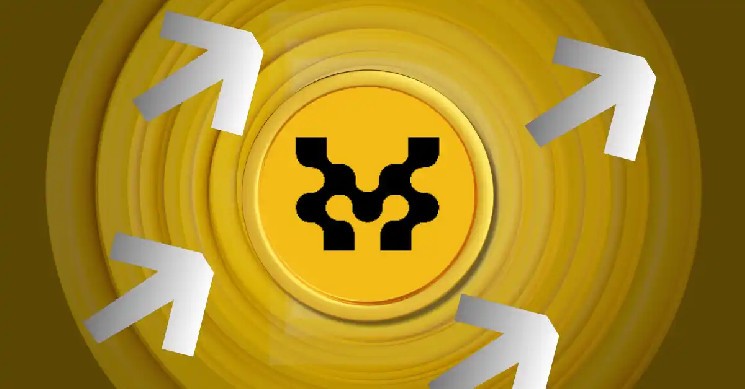 Who and how market operations led to massive price declines