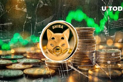 The Sibainu rocket by 5.57 trillion Shiv in just 24 hours: What's going on?