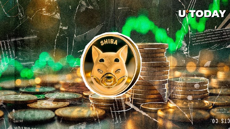 The Sibainu rocket by 5.57 trillion Shiv in just 24 hours: What's going on?