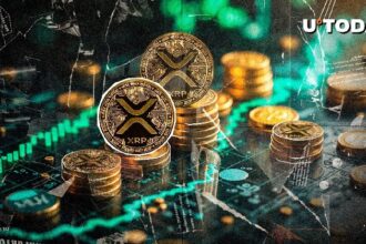 Added 9,000 new XRP wallets in 48 hours