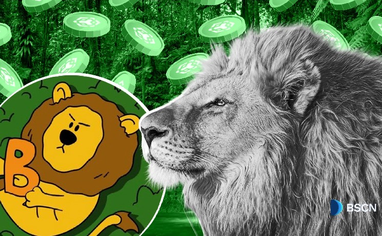 Lion Mascot Building on BNB Chain Real Defy
