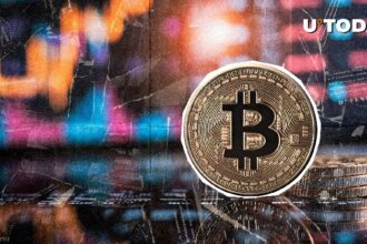 Bitcoin Rocket 53,247% in an abnormal liquidation imbalance