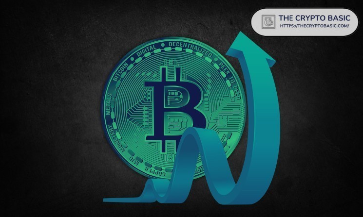 Mike Alfred predicts Bitcoin price in six weeks, and Tom Lee reacts