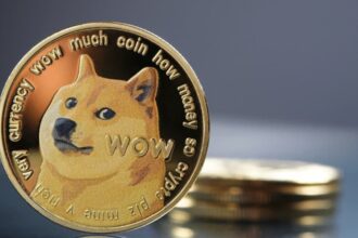 Dogecoin is close to arriving on Wall Street with a new Bitwise advance