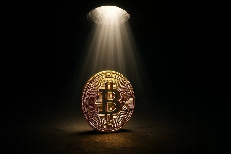 What's the latest situation for Bitcoin that survived Trump and Musk's jealous? What do you expect next with BTC prices? The analyst answered!
