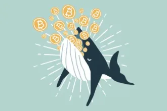 Smart Bitcoin Zilla makes more than $90 million in profits in nine months