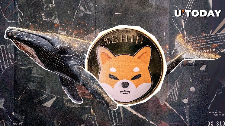 Singapore whales absorb 258,545,909,814 shiv in just one transfer