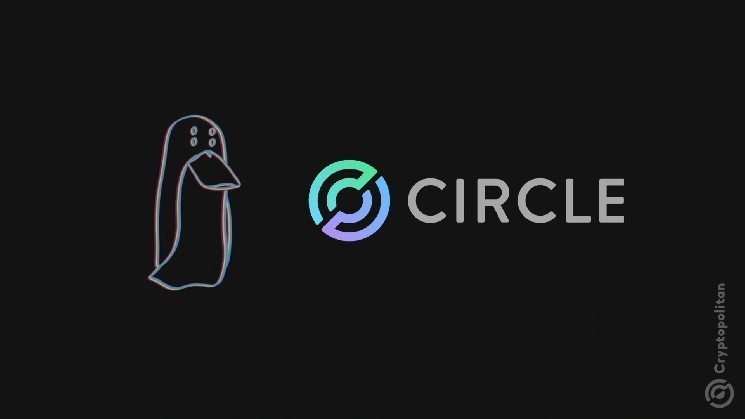 Zachxbt chases circle leadership because he doesn't care about the industry