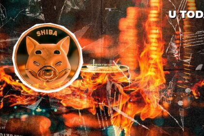 Shiba Inu Burn rate collapses by 99%, but there is a catch