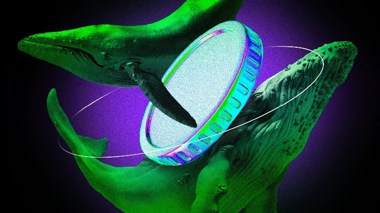 Crypto Whale Responds to Trump's "Big Beautiful Bill" --3 altcoins See Accumulation