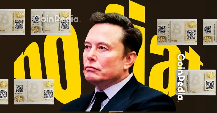 As Elon Musk reveals the American Party's plans, AP token prices explode