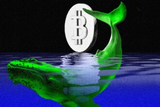 Bitcoin rally is heavily driven by US buyers. Are there any market risks?