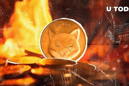 Shib Burns Skyrocket116,757%