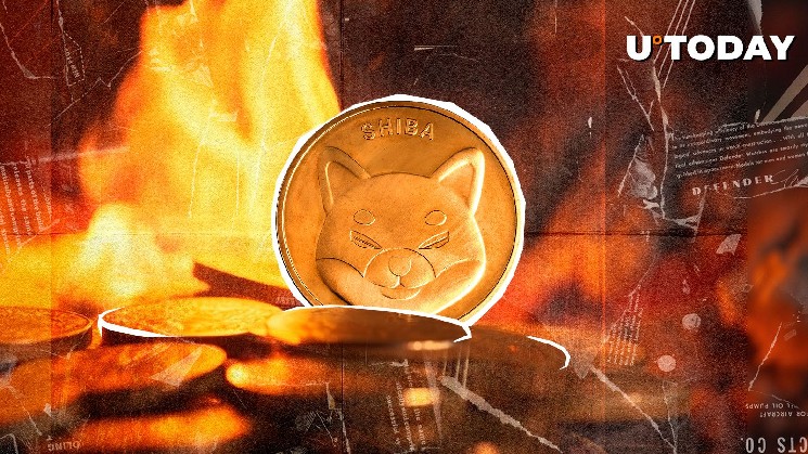 Shib Burns Skyrocket116,757%