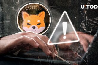 Key Shib Distributed Statements created by the Shib Team: Action is what matters